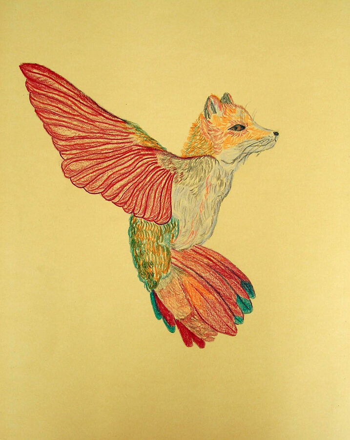 Rithika Merchant - The Vulpine avian