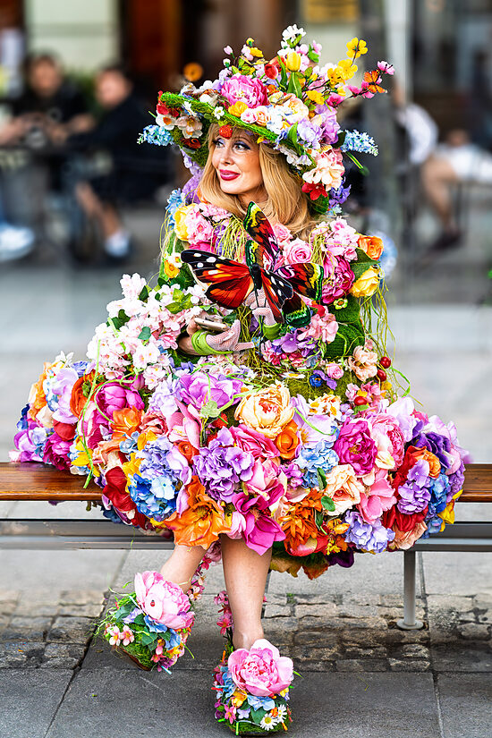 Cosme Lapena - In Full Bloom