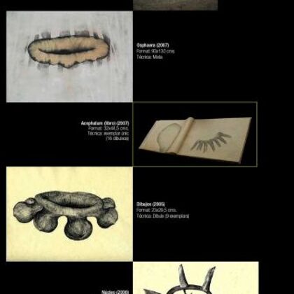 ACEPHALUM - Federico Sancho - De l' 01/10/2007 al 30/11/2007