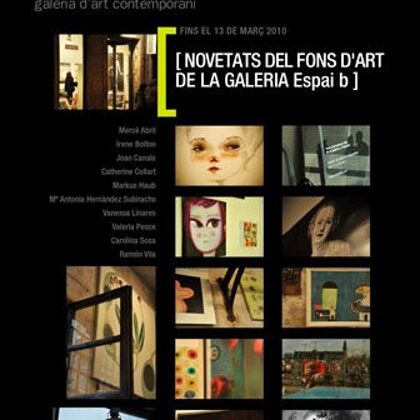 NOVETATS FONS GALERIA ESPAI B - From  12/02/2010 to 13/03/2010