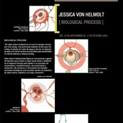 BIOLOGICAL PROCESS - Jessica Von Helmolt - From 01/09/2008 to 30/09/2008