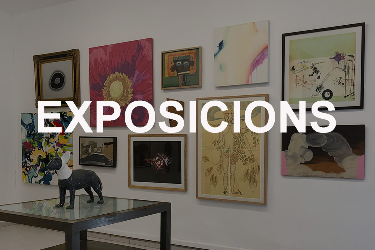 Exposicions